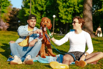During the day, a man and a woman sitting in the green grass, brown bear plush toy in hand
